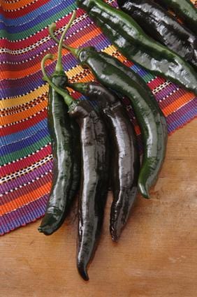 Holy Mole Pepper Seeds - The Pepper Pantry (Formerly Marie Sharp's)